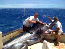 Two anglers fishing in FL with a single catch
