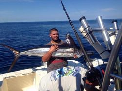 A single blue marlin, a large saltwater fish, caught while fishing in FL