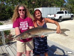 Cobia Fishing in Marathon, Florida