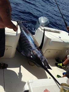 A lone fisherman standing in shallow water in Florida, holding a fishing rod.