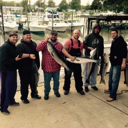 4 striped bass caught fishing in FL