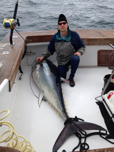 King Mackerel, 32-inch fish, caught while fishing in Marathon