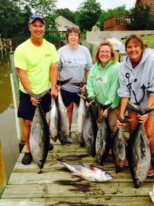7 fish caught while fishing in Florida