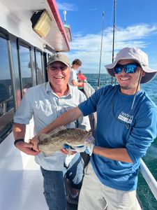 Gag Grouper fish caught while fishing in FL