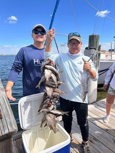 Two anglers fishing for black drum at St. Pete Beach