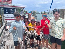 Black Drum fish being caught at St. Pete Beach