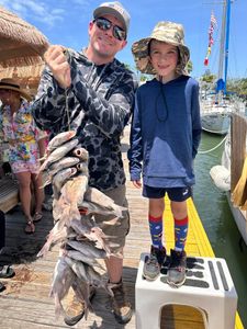 Fishing for a black drum in Florida