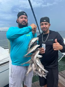 2 people fishing for 3 fish at St. Pete Beach