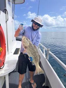 Gag Grouper caught while fishing in FL