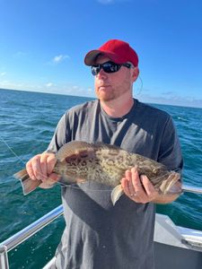 Gag Grouper caught during fishing trip in FL