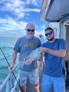 Gag Grouper caught while fishing at St. Pete Beach