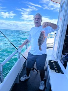 One red grouper fish caught while fishing in FL