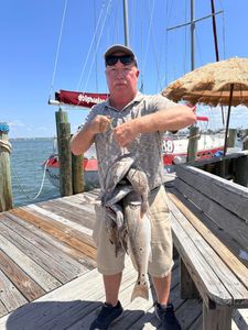 Redfish caught while fishing in St. Pete Beach