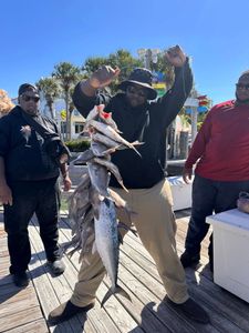 Spanish Mackerel caught while fishing in FL