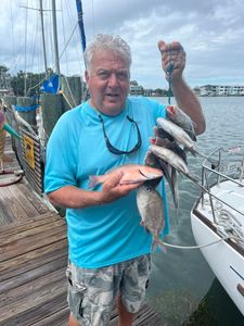 3 white grunt fish caught in FL