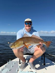Redfish catch displayed on fishing boat in Welches OR waters