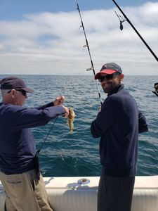 Two anglers with a freshly caught fish in the waters of MA.