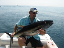 Blackfin tuna, a big 26-inch fish, caught while fishing in Plymouth