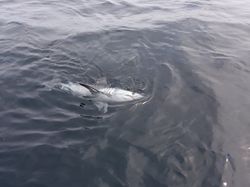 Fishing on the beautiful coastline of Plymouth