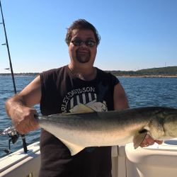 1 angler fishing in MA
