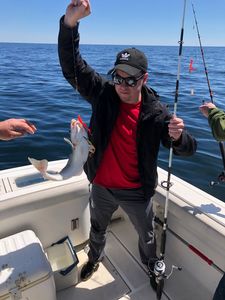 Fishing adventure in Plymouth