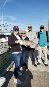 A fisherman holding a large striped bass in Plymouth