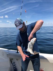 Solo fishing in MA