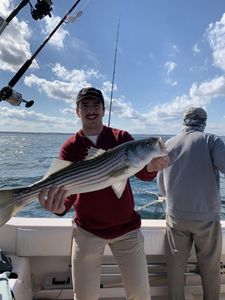 Striped bass caught fishing in MA