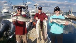 Two striped bass caught in MA
