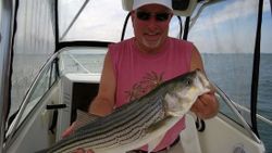 Striped bass fishing in MA
