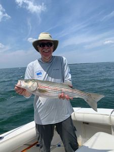 Striped bass caught while fishing in MA