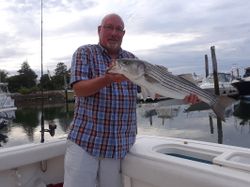 Striped bass caught in MA while fishing