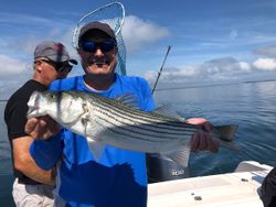 Striped Bass caught in Plymouth
