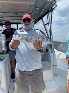 Striped bass caught by two people in Plymouth