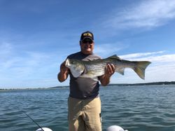 Striped bass fishing in Plymouth
