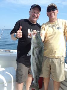 Striped bass caught by two people fishing in Plymouth