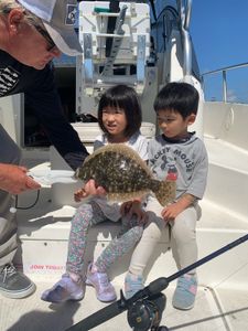 Summer Flounder caught during fishing in Plymouth
