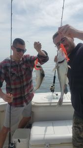 Two big fish caught in Plymouth