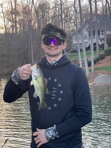 On the hunt for bass today!