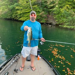 Largemouth Bass charter fishing NC
