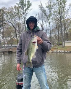 Best bass lake in North Carolina