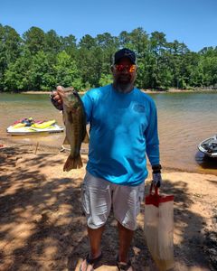 Bass North Carolina, lake fishing