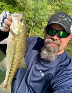 One fishing rod and a beautiful view of King