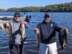 4 great big fish caught during a fishing trip in King