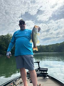 Largemouth Bass caught by angler at King location