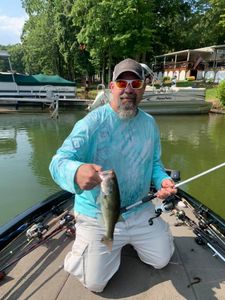 Largemouth Bass caught by angler in King