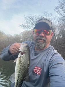 Largemouth bass caught in NC