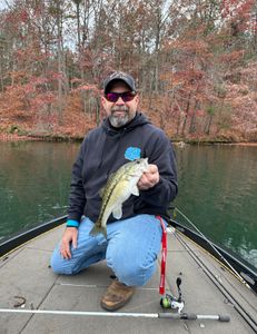 Spotted Bass, 11 inch fish, caught fishing in NC