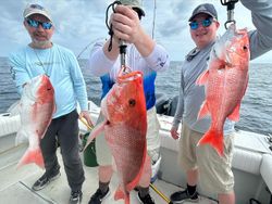 3 big fish caught at New Smyrna Beach during cruises and fishing