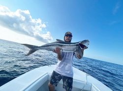 A large cobia fish caught in Florida while cruising and fishing